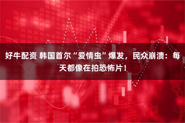 好牛配资 韩国首尔“爱情虫”爆发，民众崩溃：每天都像在拍恐怖片！