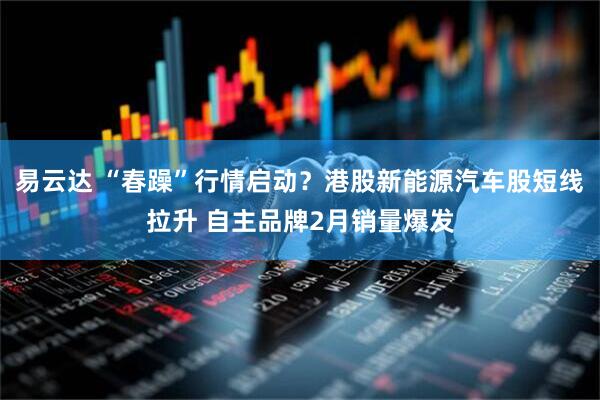 易云达 “春躁”行情启动？港股新能源汽车股短线拉升 自主品牌2月销量爆发