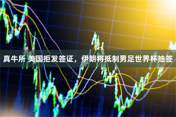 真牛所 美国拒发签证，伊朗将抵制男足世界杯抽签