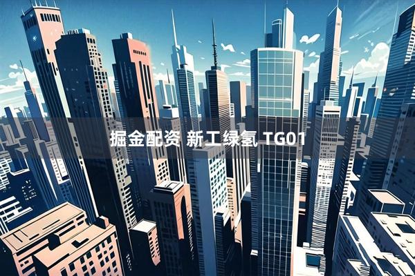 掘金配资 新工绿氢 TG01