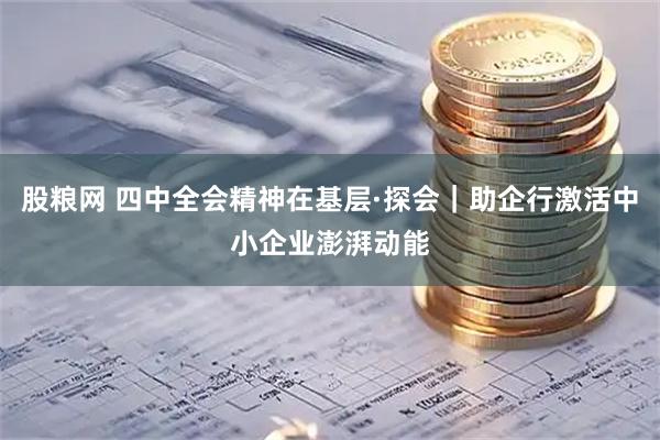 股粮网 四中全会精神在基层·探会｜助企行激活中小企业澎湃动能
