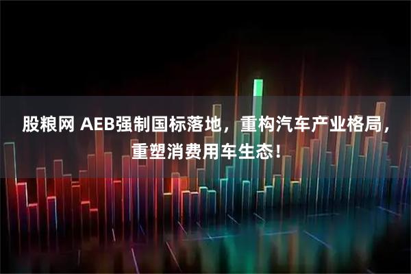 股粮网 AEB强制国标落地,重构汽车产业格局,重塑消费用车生态!