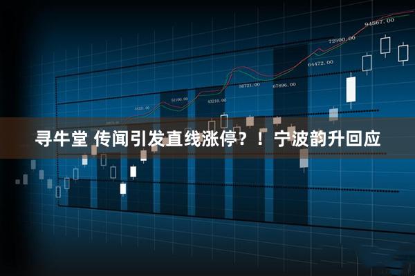 寻牛堂 传闻引发直线涨停?!宁波韵升回应