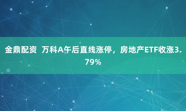 金鼎配资  万科A午后直线涨停，房地产ETF收涨3.79%