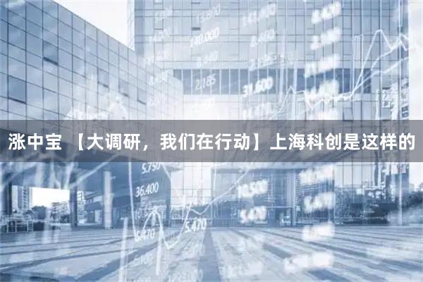涨中宝 【大调研，我们在行动】上海科创是这样的