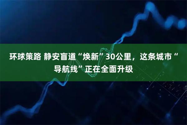 环球策路 静安盲道“焕新”30公里，这条城市“导航线”正在全面升级