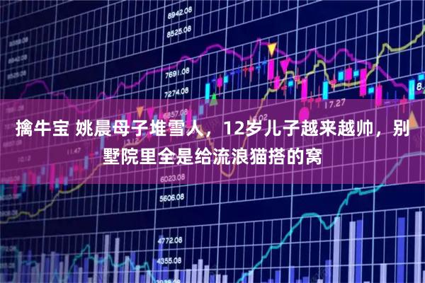 擒牛宝 姚晨母子堆雪人，12岁儿子越来越帅，别墅院里全是给流浪猫搭的窝