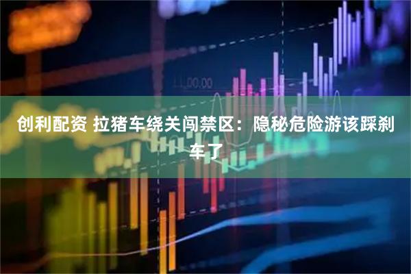 创利配资 拉猪车绕关闯禁区：隐秘危险游该踩刹车了